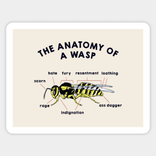 The Anatomy of a Wasp Sticker